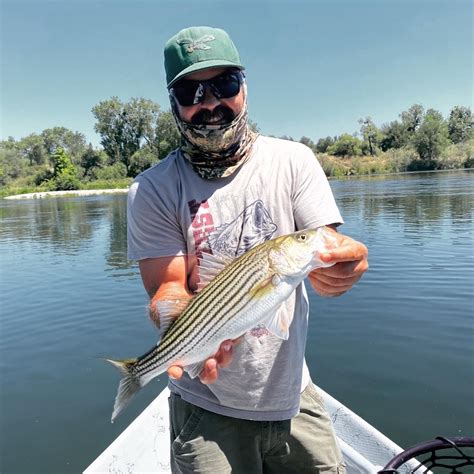 American River fishing report .